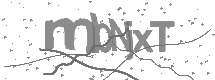 visual captcha